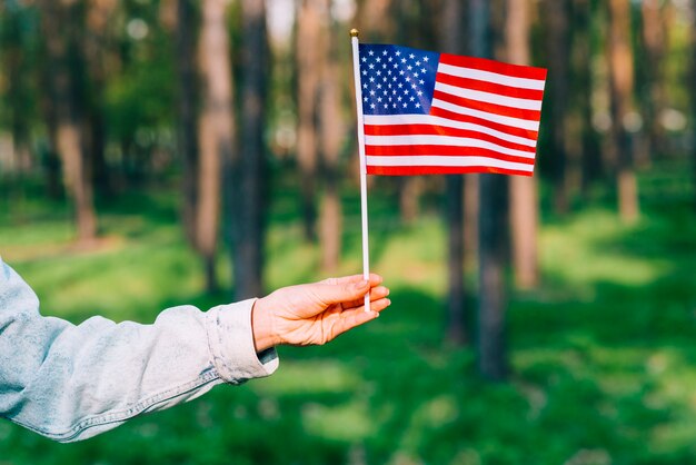 Mano sosteniendo la bandera de Estados Unidos