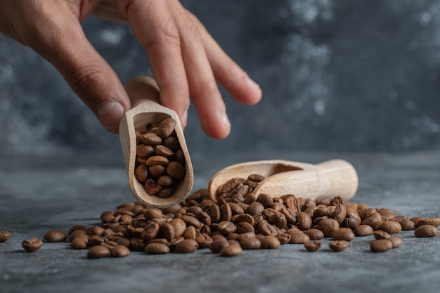 Mano sosteniendo una cuchara de madera con granos de café.