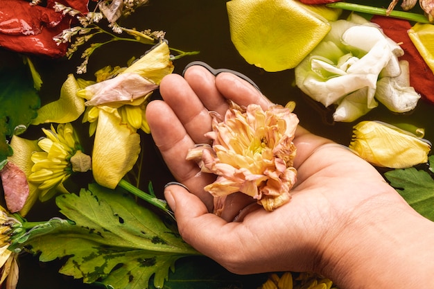 Mano sosteniendo delicada flor