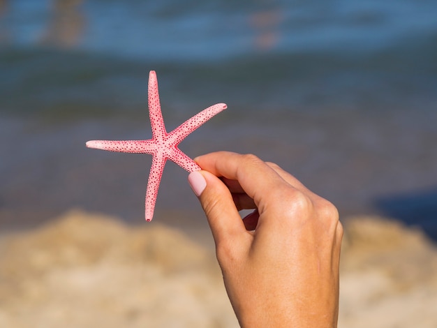 Mano sosteniendo una estrella de mar con fondo borroso