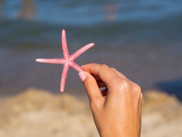 Mano sosteniendo una estrella de mar con fondo borroso