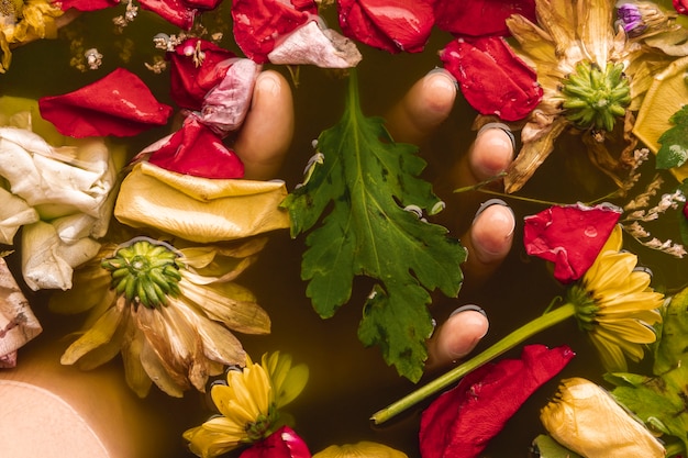 Mano sosteniendo flores en agua negra