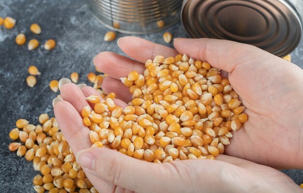 Mano sosteniendo un montón de semillas de palomitas de maíz crudas en mármol.