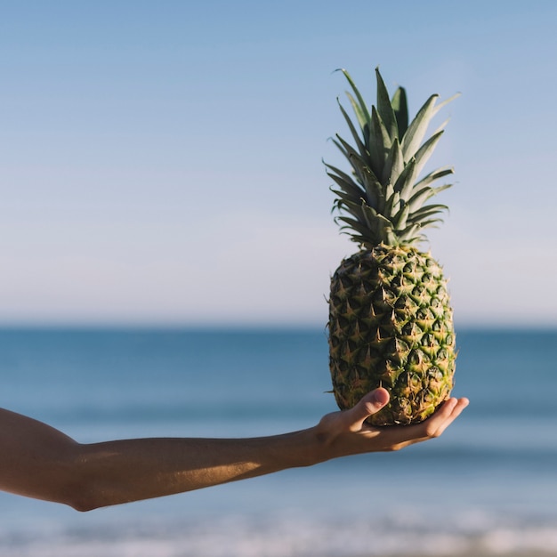 Foto gratuita mano sosteniendo piña en la playa