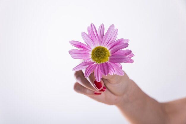 Mano sujetando flor morada