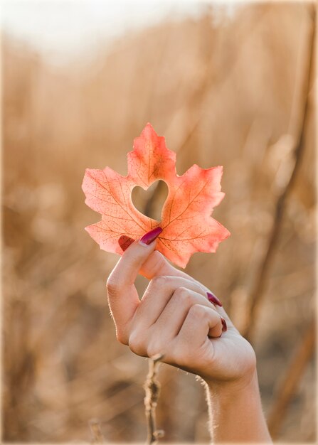 Mano sujetando la hoja con forma de corazón