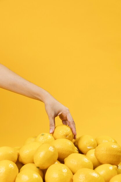 Mano tocando limones con espacio de copia