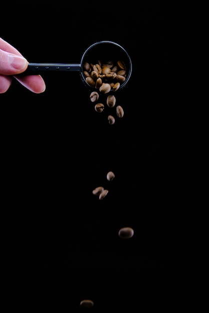 Mano vertiendo granos de café tostados frescos de la cuchara aislada en negro