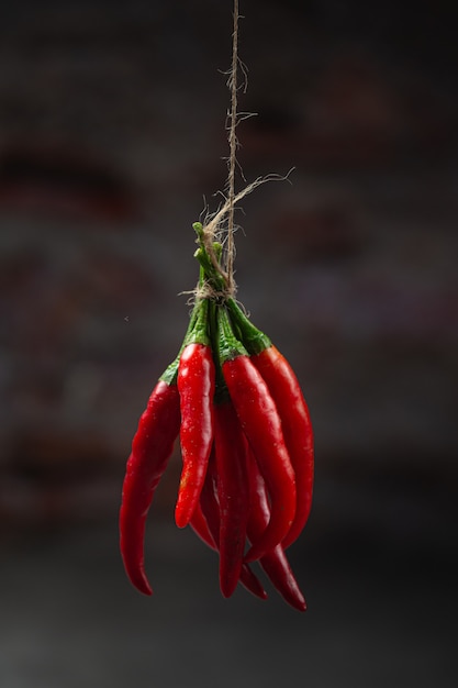 Manojo de ají rojo caliente seco sobre negro.