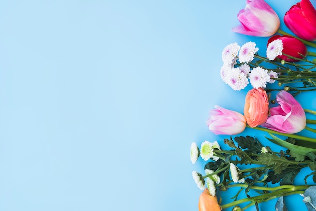 Foto gratuita manojo de diferentes flores brillantes