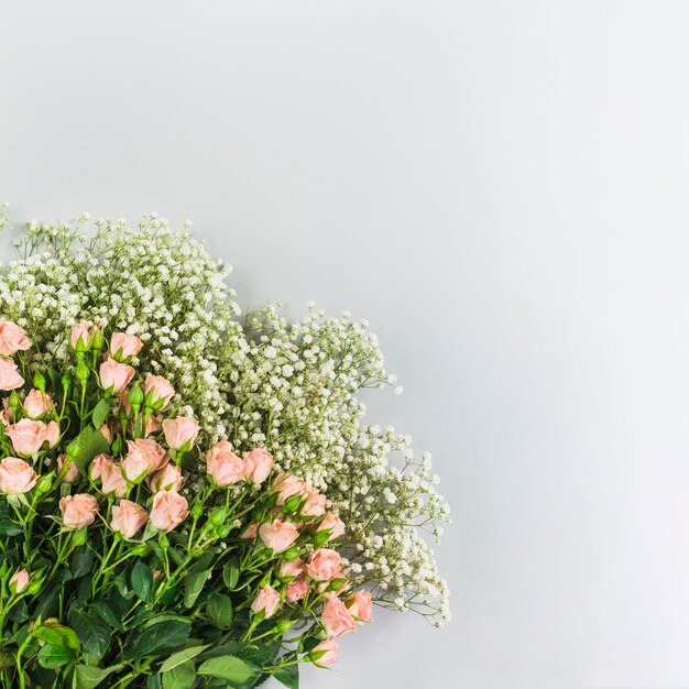 Manojo de flores de aliento de bebé y rosas rosadas sobre fondo blanco