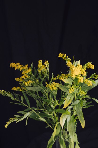 Manojo de flores amarillas frescas con follaje verde en florero