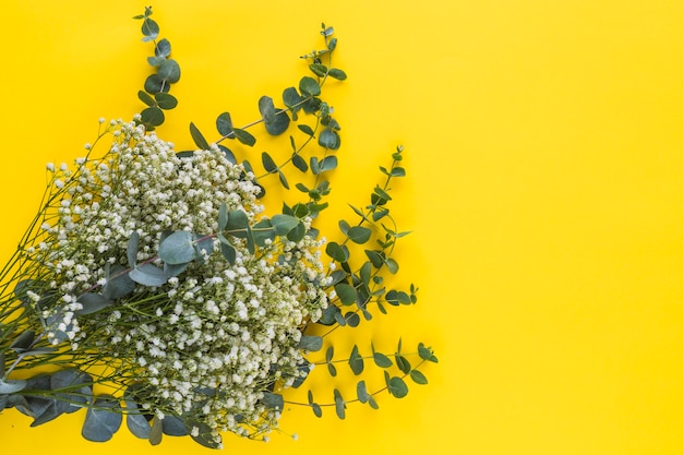 Manojo de flores y hojas de aliento de bebé sobre fondo amarillo