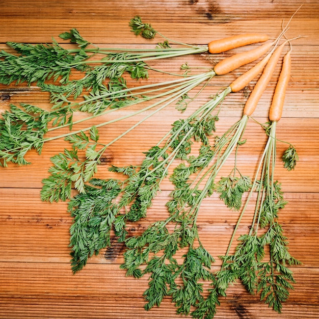 Foto gratuita manojo de zanahorias