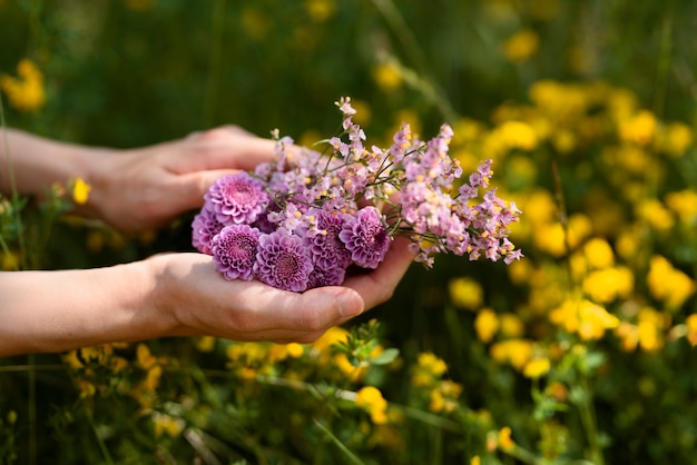 Manos de alto ángulo sosteniendo flores