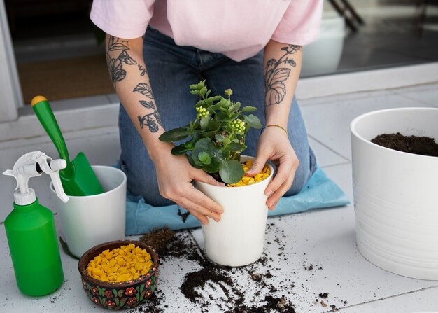 Manos de alto ángulo trasplantando plantas.