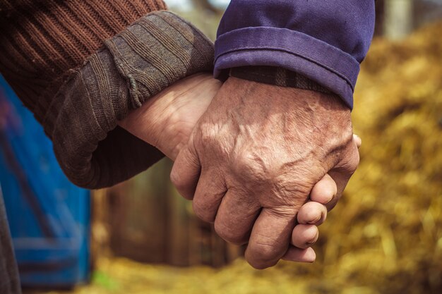 Las manos de los ancianos, campesinos. | Foto Premium