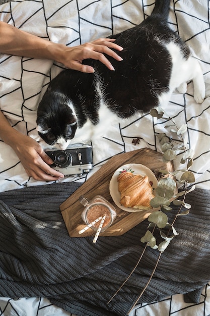 Manos de cultivo acariciando el gato y sosteniendo la cámara cerca de la comida del desayuno