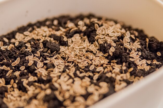 Manos femeninas con manicura brillante manos son la siembra de grano y el suelo en una maceta para el crecimiento de las plantas. Mujer que siembra las semillas en tierra en la tabla en el país. Mujer jardinera siembra plántulas en su casa