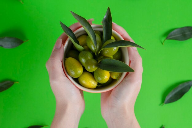 Manos femeninas sosteniendo un cuenco lleno de cumquats verdes frescas con hojas.