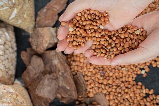 Manos femeninas sosteniendo un montón de frijoles rojos