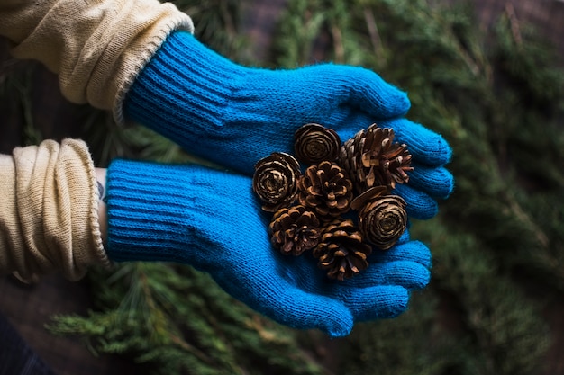 Foto gratuita manos en guantes con conos de coníferas.