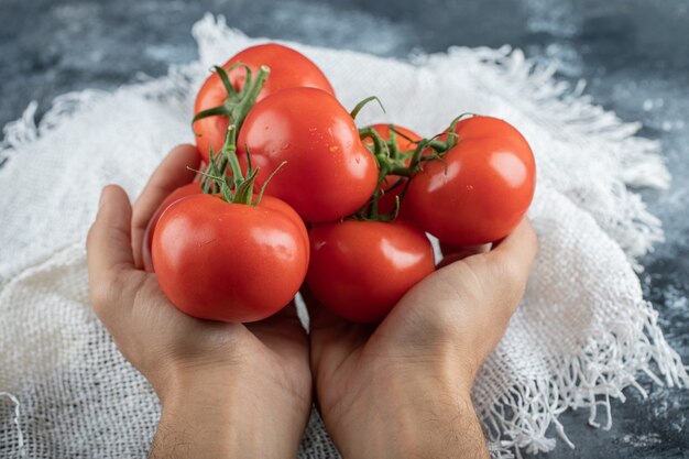 Manos de hombre sosteniendo un manojo de tomate en colorido.