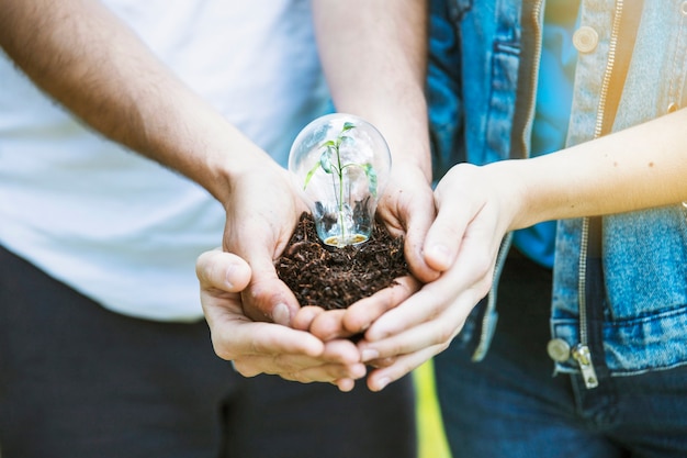 Manos manteniendo la planta en la lámpara en el suelo