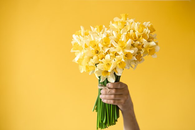 manos masculinas con un ramo de narcisos amarillos.