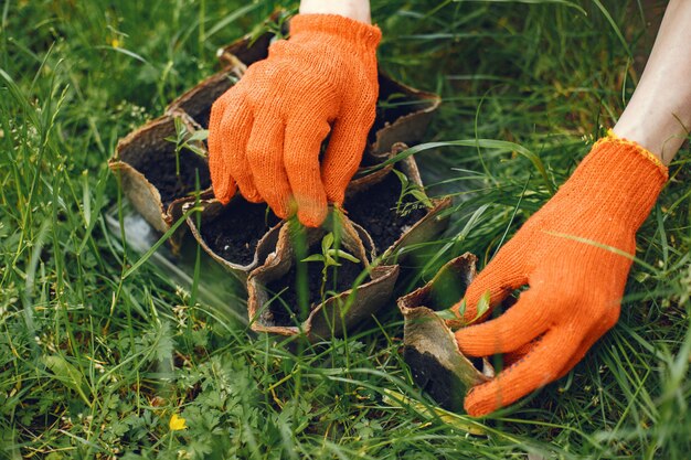 Manos de mujer en guantes plantando plantas jóvenes