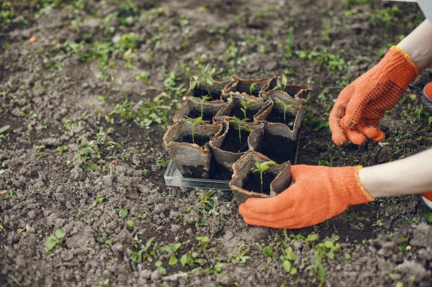 Manos de mujer en guantes plantando plantas jóvenes