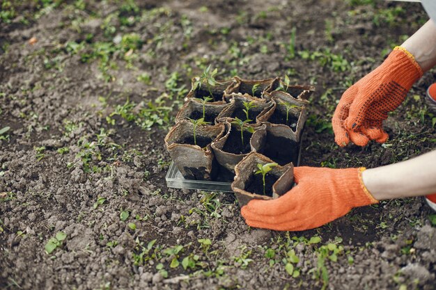 Manos de mujer en guantes plantando plantas jóvenes