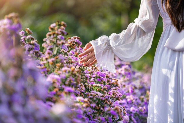 Las manos de las mujeres tocan flores púrpuras en los campos