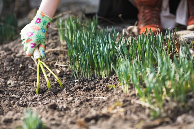 Foto gratuita manos plantando