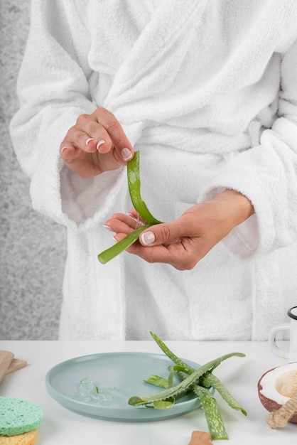 Manos de primer plano sosteniendo la planta de aloe vera