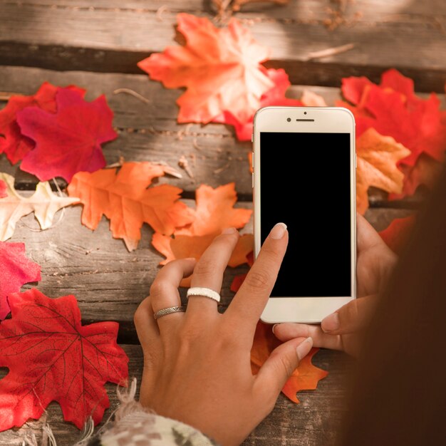 Manos de primer plano con teléfono inteligente sobre hojas de otoño