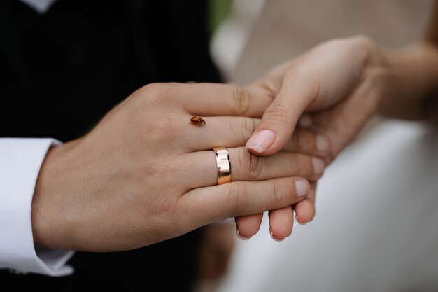 Manos de recién casados con anillo de bodas y pequeño insecto