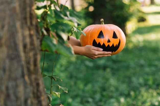 Manos sosteniendo calabaza de halloween en el parque