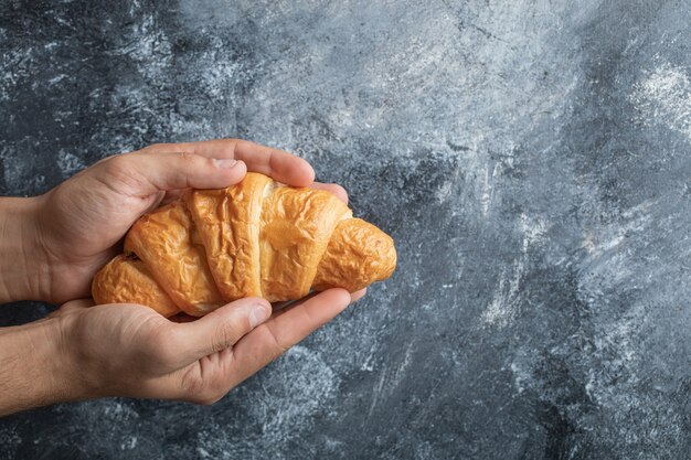 Manos sosteniendo un delicioso croissant sobre un fondo gris.