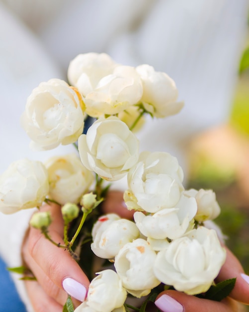Manos sosteniendo rosas blancas florecientes
