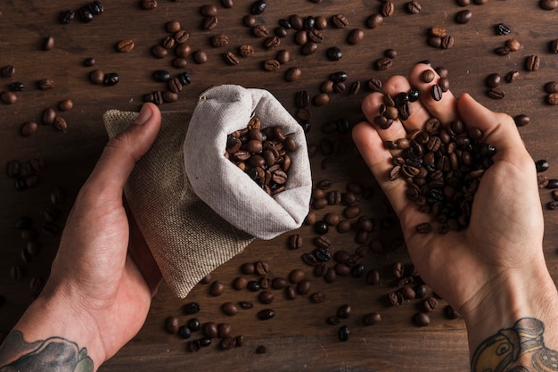 Manos sosteniendo sacos y granos de café