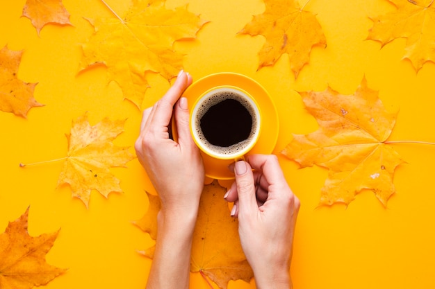 Manos sosteniendo la taza de café junto a las hojas