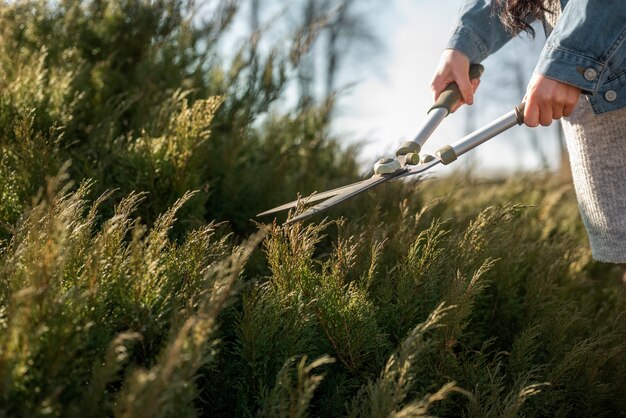 Manos sosteniendo tijeras de jardinería