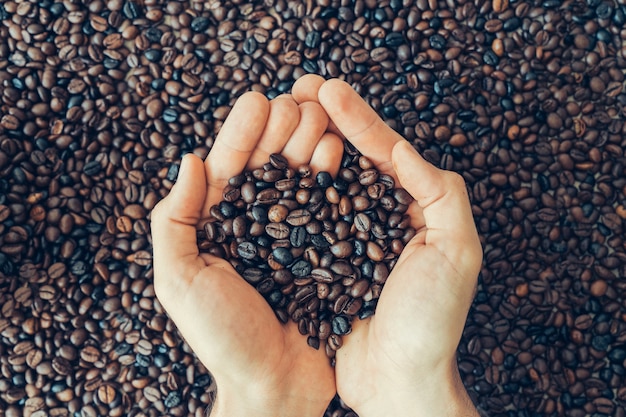 Foto gratuita manos sujetando granos de café