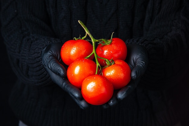 Foto gratuita manos de vista frontal con guantes negros sosteniendo la rama de tomate