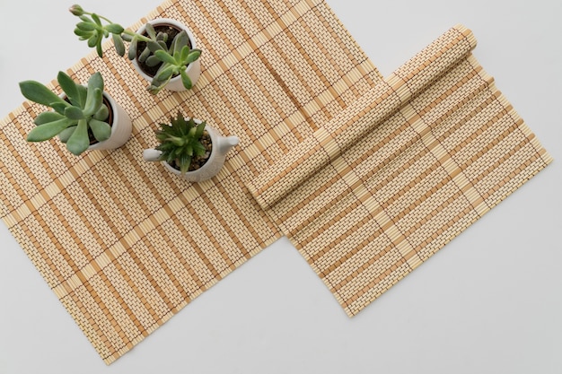 Mantel de bambú con plantas