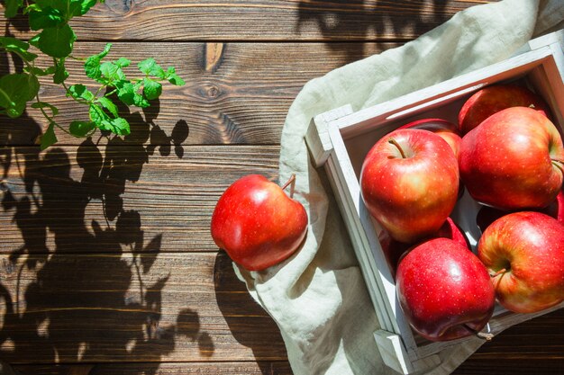 Manzanas en una caja cerca de plantas