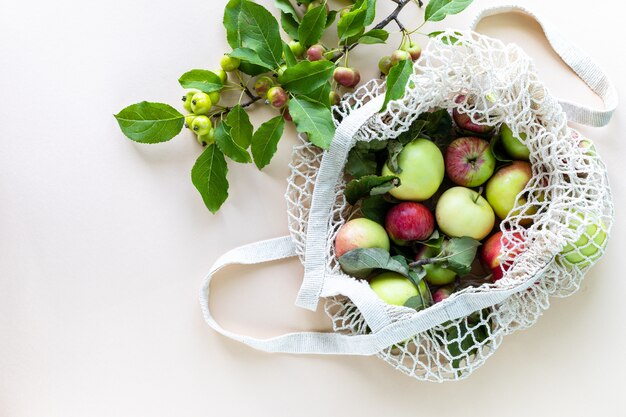 Manzanas frescas en una bolsa de malla de compras con rama de manzanas