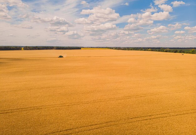 Máquina cosechadora trabajando en el campo Vista superior desde el dron Cosechadora agrícola paseo en máquina en el campo