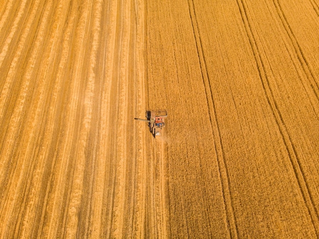 Foto gratuita máquina cosechadora trabajando en el campo vista superior desde el dron cosechadora agrícola paseo en máquina en el campo